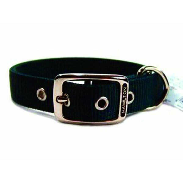 Hamilton Classic Double Thick Nylon Buckle Collar DD 20DG